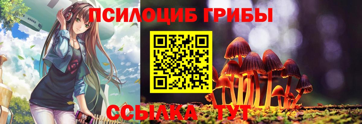 Клинцы  ГАШИШ  МАРИХУАНА  Меф МЯУ МЯУ кристаллы  Экстази  Вход с VPN  Меф МЯУ МЯУ  ГАШ 