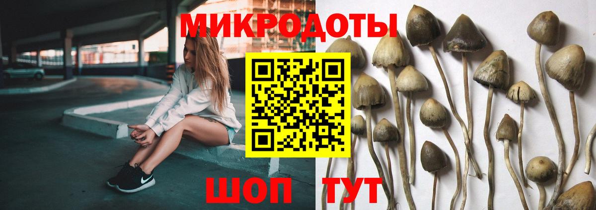 Клинцы  Псилоцибиновые грибы MAGIC MUSHROOMS  Вход с VPN 